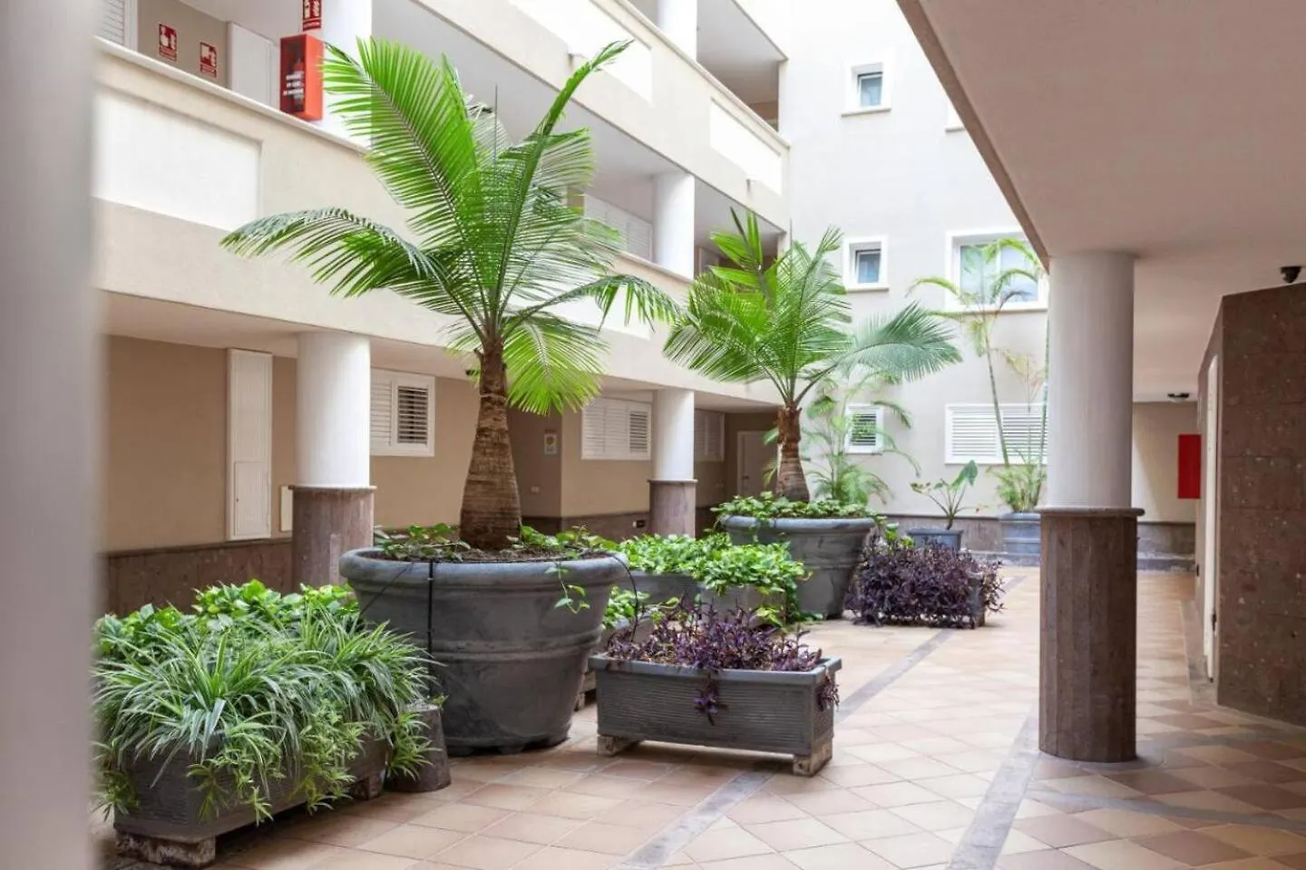 Apartment 3B Ocean And Mountain View By Dream Homes Tenerife Puerto de Santiago  Spain